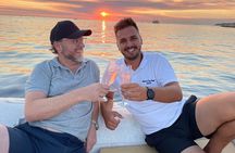 Thrilling Dolphin Encounter: Vrsar's Aquatic Safari