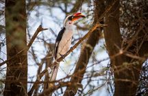 3 Day: Landscapes of Serengeti and Ngorongoro Crater