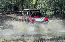 UTV adventure in Naguabo Puerto Rico 50 minutes trip 80 acres 