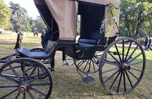 Full Day Tour to Estancia La Candelaria