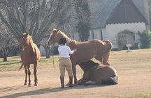 Full Day Tour to Estancia La Candelaria