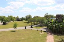 Audio-Guided Whitney Plantation Tour with Transportation