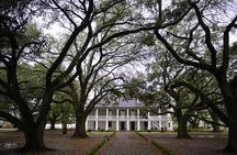 Audio-Guided Whitney Plantation Tour with Transportation