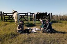Full-Day Horseback Riding with Gauchos from Buenos Aires