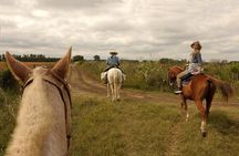 Full-Day Horseback Riding with Gauchos from Buenos Aires