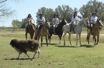Full-Day Horseback Riding with Gauchos from Buenos Aires