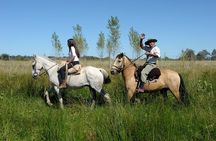 Full-Day Horseback Riding with Gauchos from Buenos Aires