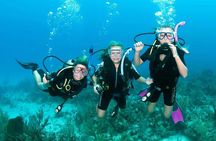 Scuba Diving in Hurghada _ 2 Stops Dive With Equipments & Lunch