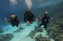 Scuba Diving in Hurghada _ 2 Stops Dive With Equipments & Lunch