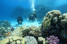 Scuba Diving in Hurghada _ 2 Stops Dive With Equipments & Lunch