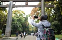 Full-Day Guided Private Tour in Tokyo, Japan