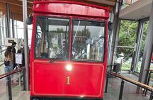 Wellington city heights shared sightseeing tour