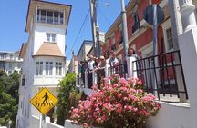 Cruise Port to Valparaiso & Casablanca: Drop-off in Santiago