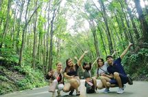 Exclusive Bohol,Philippines Chocolate Hills-Tarsier Tour