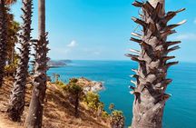 Private Guided Tour in Phuket Landmark 