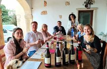 Pagus Wine Tours® - A taste of Amarone - Half day wine tour