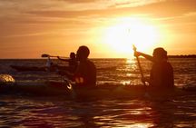 Porto Selvaggio kayak tour + cliff diving + cold spring immersion