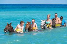Bamboo Rafting & Horseback -dunns river Transportation Included