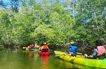 Tamarindo Mangrove Forest National Park kayaking