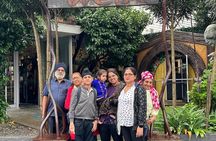 Wellington city heights shared sightseeing tour