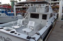 Luxury Private Yacht Charter in Cabo San Lucas Mexico