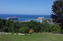  Private Sightseeing Tour from Ocho Rios 
