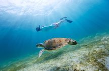 Snorkeling in Destin