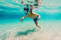 Snorkeling in Destin
