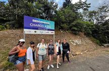 Pork Highway & Cayey Cultural & Gastronomical Experience 