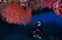 Journey of Diving or Snorkelling from a Boat