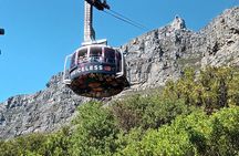 Cape of Good Hope, Table Mountain & Penguins Tour + All Tickets 