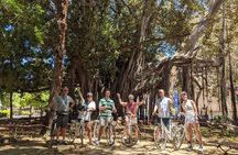 Bike tour of the historic center of Palermo with tasting