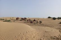 Overnight Camel Safari