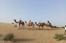 Overnight Camel Safari