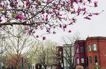 Half-Day Private Guided Bike Tour in Washington