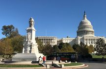 Half-Day Private Guided Bike Tour in Washington