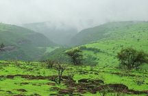 East of Salalah, Mountain Safari, Camels, Waterfall, White beach