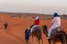 BEST Marrakech to Fes desert tour 3 days