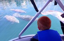 Guaranteed Snorkel with Manatee Tour w/ Guide & Photographer
