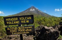 Arenal Volcano Rainforest & Natural History Tour