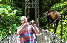Explore Arenal - One Day Tour Mistico+ Waterfal+ Lunch+ Volcano