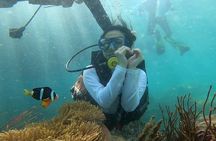 Coral Reef Snorkeling and Floating Bar Party from Nha Trang