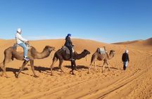 Night in Erg chebbi Desert, Camel Ride, Departure From Errachidia