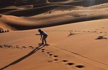 Night in Erg chebbi Desert, Camel Ride, Departure From Errachidia