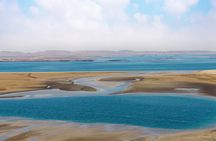 Full Day Qatar North and Desert Safari with pickup 