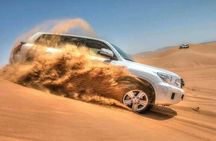Full Day Qatar North and Desert Safari with pickup 