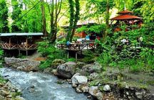 Full Day Tour in Sapanca & Masukiye from Istanbul