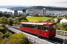 Wellington Shore Excursion City Sightseeing Tour