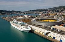 Wellington Shore Excursion City Sightseeing Tour