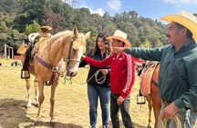Horse experience with my family
